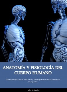 Funciones y estructura de la columna vertebral - Dr Alfonso Vega